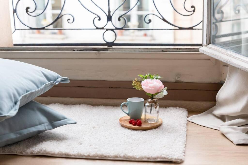 Le Lumineux 50 M² Gare/Chateau/Wifi/Netflix Versailles Ngoại thất bức ảnh